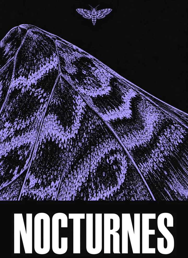 Nocturnes: Wing landscape poster