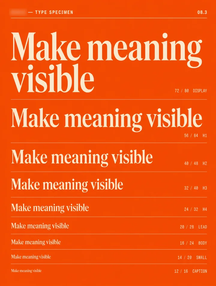 SCALE: Make meaning visible.